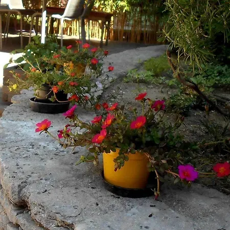 Bed & Breakfast Louminai Donzère