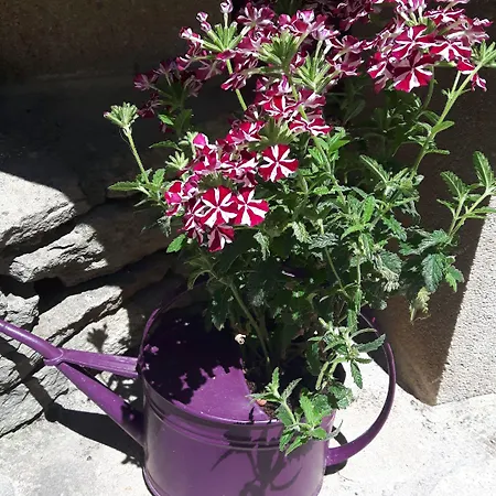 Louminai לינה וארוחת בוקר